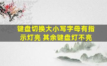 键盘切换大小写字母有指示灯亮 其余键盘灯不亮